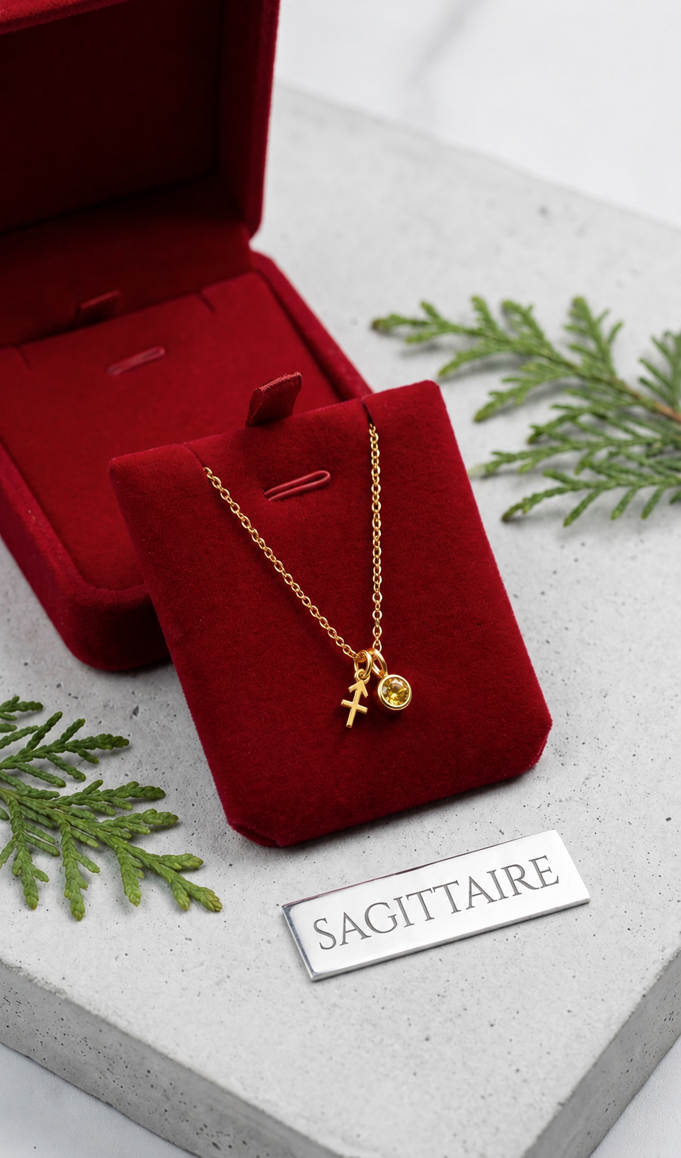 Collection Signes du Zodiaque ✨